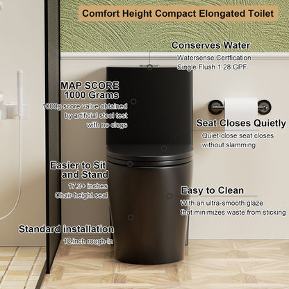 1-piece toilet ADA-height chair in black with tornado and dual flush HouseOfZazla on Tampa Home & Garden Store