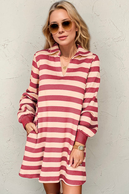 Deep Rose striped dress with contrast collar and long sleeves by Stevvex full size on Tampa Home & Garden Store