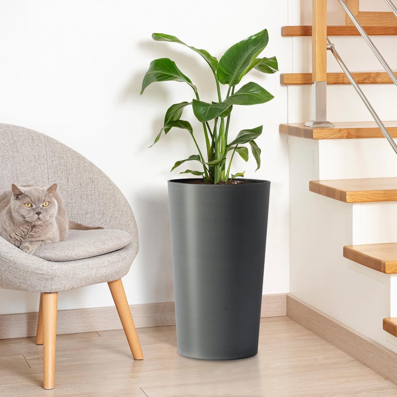 Planter For Outdoor by HouseOfZazla in dark gray with tall green leaves on Tampa Home & Garden Store