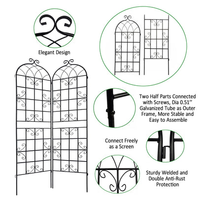 Metal Trellis For Climbing Plants And Vines