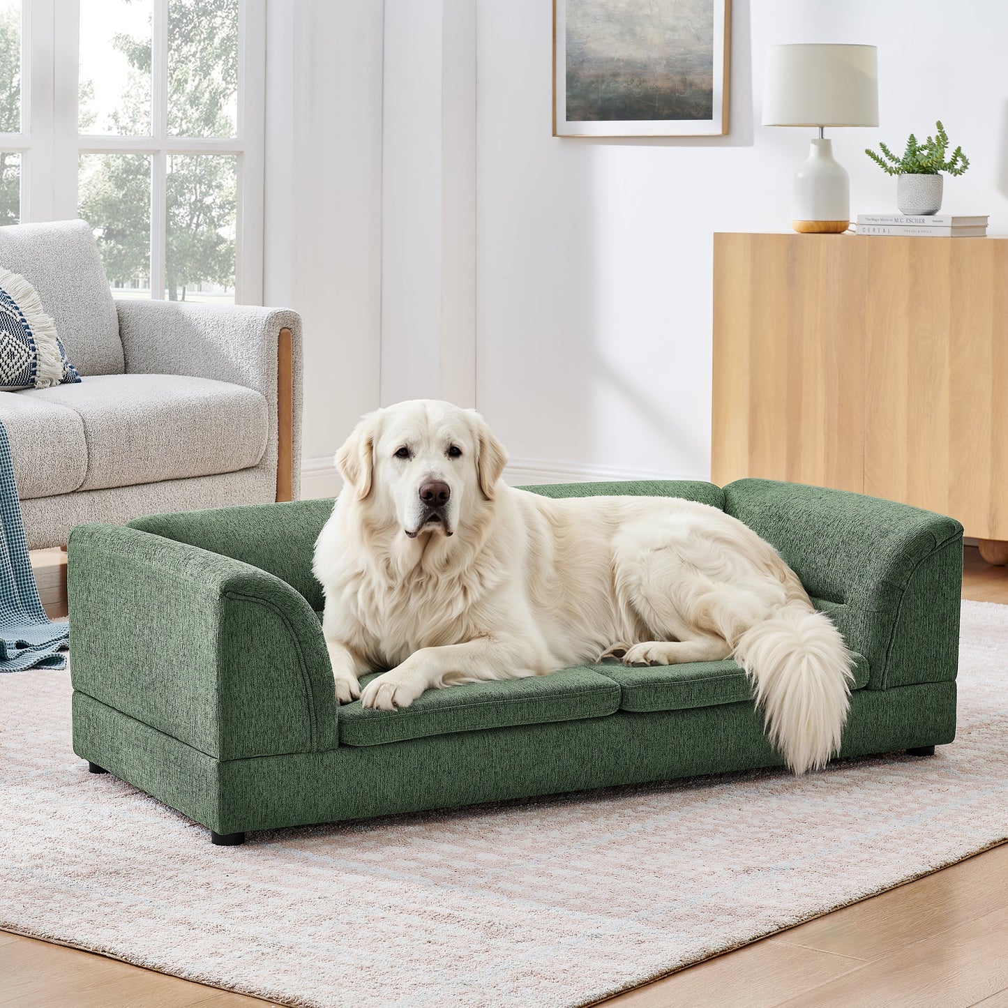 Oversized Pet Sofa curved-arm green sofa with a dog on it on Tampa Home & Garden Store
