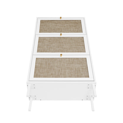 Shoe cabinet Modern rattan 3-door rack with white frame, cane panels, gold knobs by HouseOfZazla on Tampa Home & Garden Store