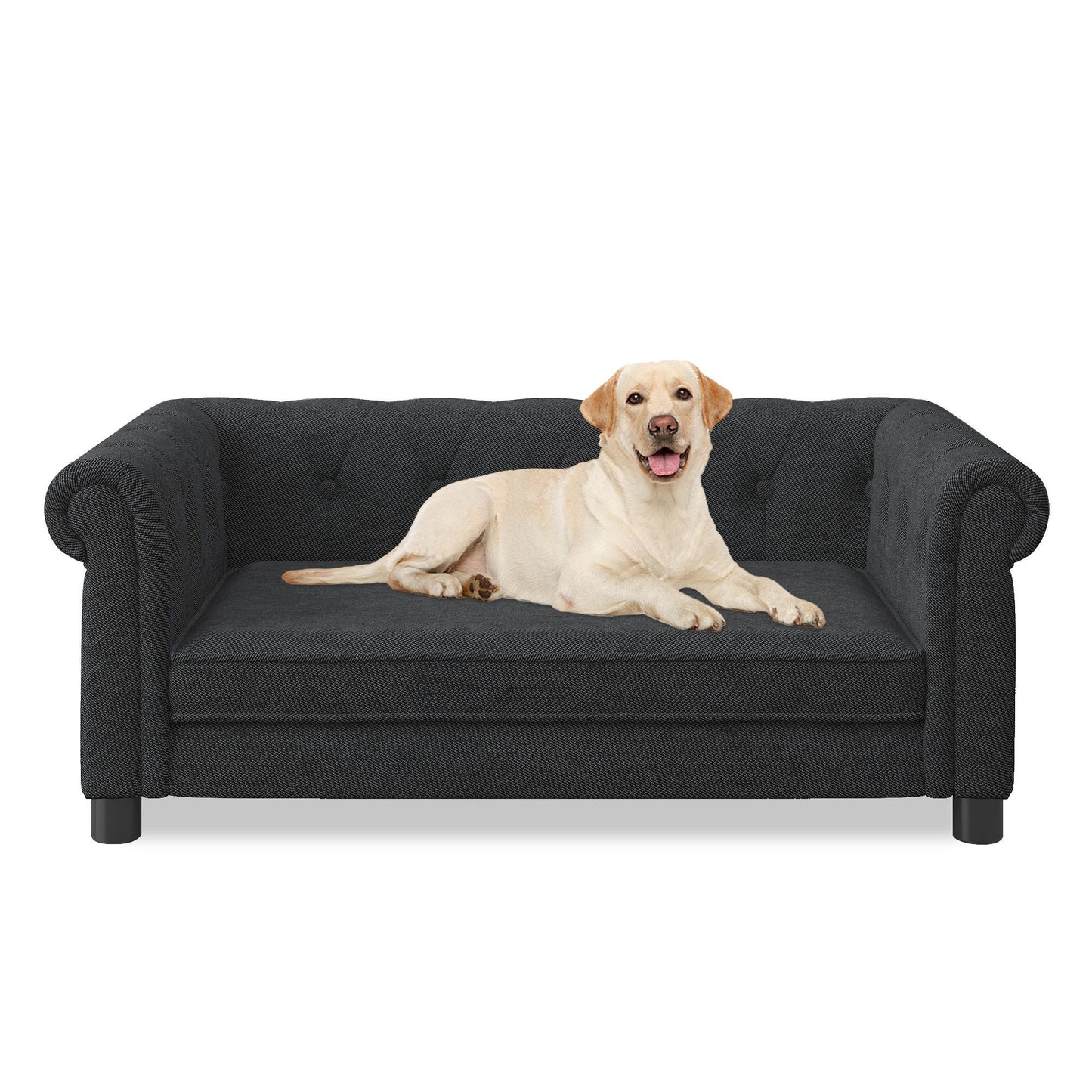 Modern rectangle elevated dog bed by HouseOfZazla, charcoal fabric, dog resting on it on Tampa Home & Garden Store