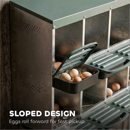 Egg Laying Boxes, metal chicken nesting boxes with green lids and egg trays HouseOfZazla on Tampa Home & Garden Store