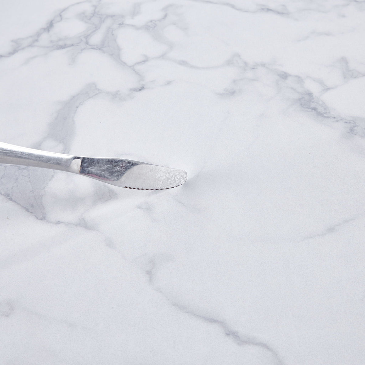 Bread knife blade in stainless steel with serrated edge on marble surface on Tampa Home & Garden Store