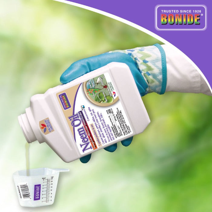 Bonide Neem Oil Concentrate bottle poured into a measuring cup by gloved hand; purple label on Tampa Home & Garden Store