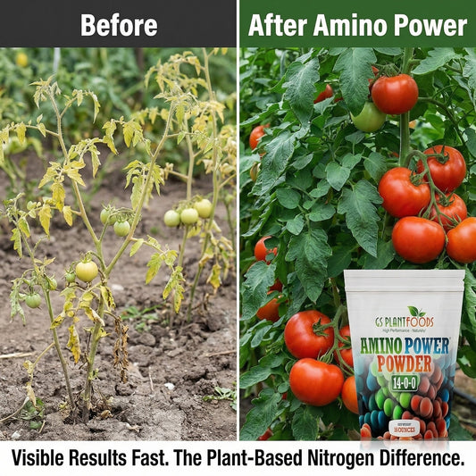 GS Plant Foods Amino Power fertilizer; before/after tomatoes show yellowed vs healthy fruit on Tampa Home & Garden Store