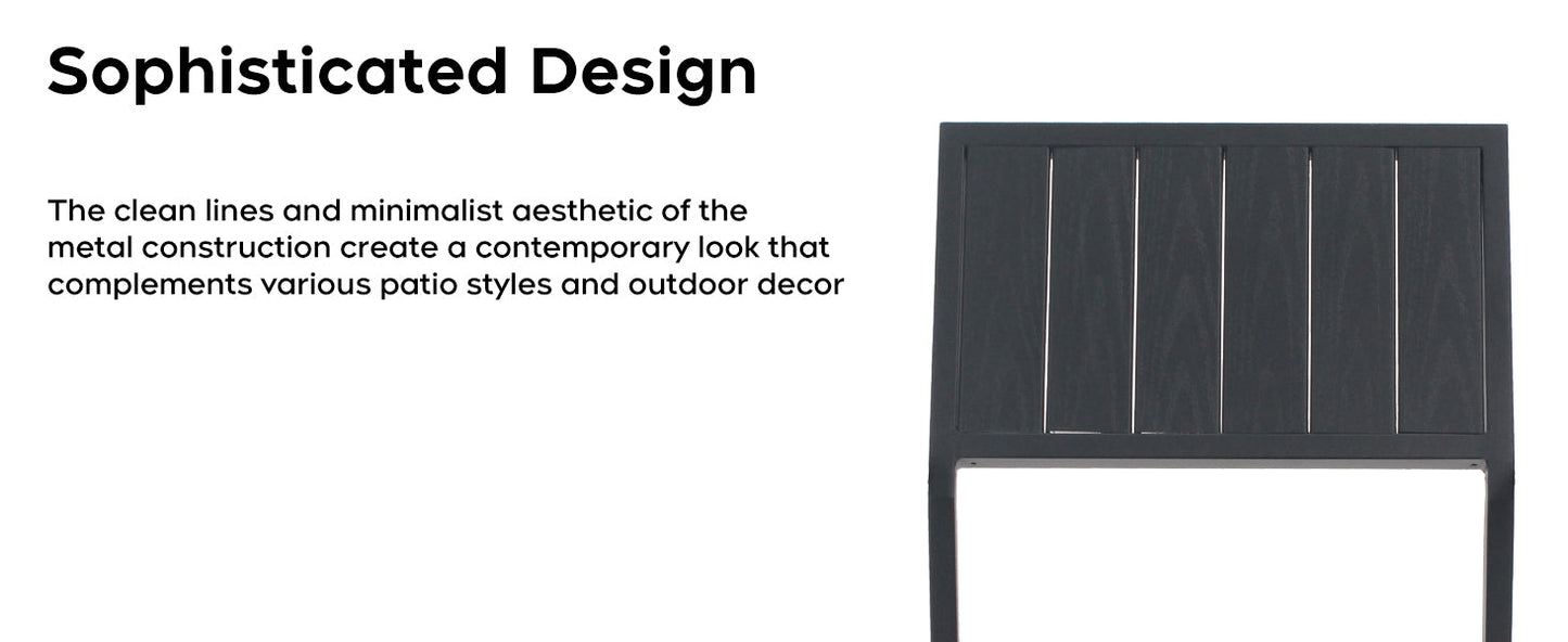 Modern Outdoor and Indoor Metal Chair Set of Two