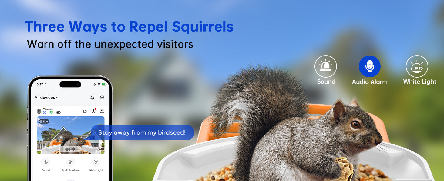 Smart Feeder Surveillance Wireless Camera by Sell My Stuff; app view with squirrel on Tampa Home & Garden Store