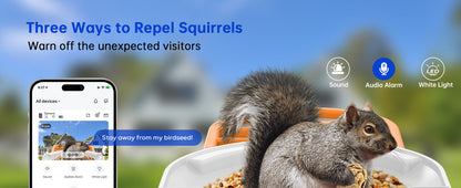 Smart Feeder Surveillance Wireless Camera by Sell My Stuff; app view with squirrel on Tampa Home & Garden Store