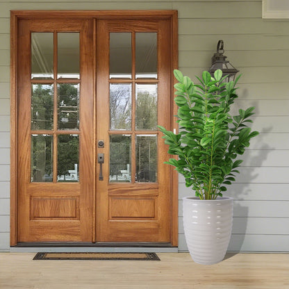 Planter white ribbed ceramic for patio with lush green shrub on Tampa Home & Garden Store