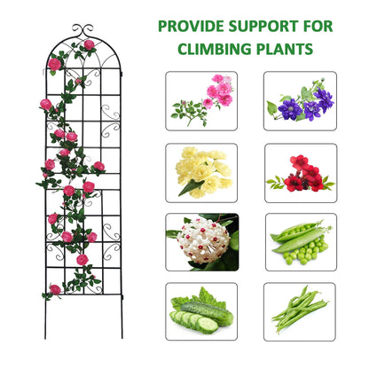Metal Trellis For Climbing Plants And Vines