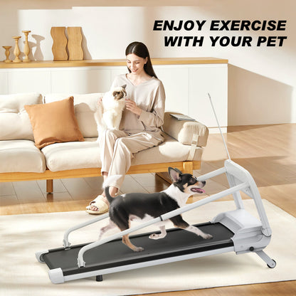 HouseOfZazla 2025 Quiet Smart Pet Treadmill white frame black belt in living room with dogs on Tampa Home & Garden Store