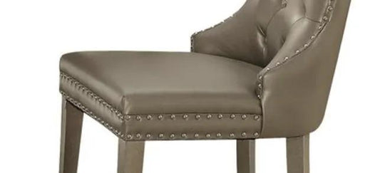 Kacela synthetic leather side chair set of 2 in champagne with nailhead trim on Tampa Home & Garden Store
