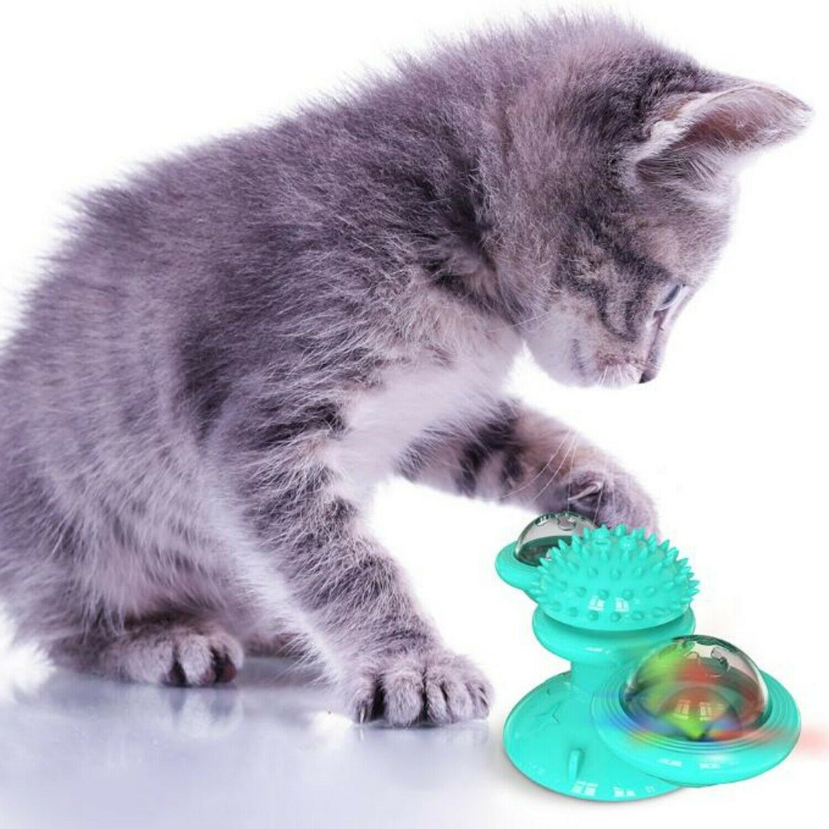 Windmill cat toy with teal suction cup base, rotating spinner and spiky massage ball for kittens on Tampa Home & Garden Store