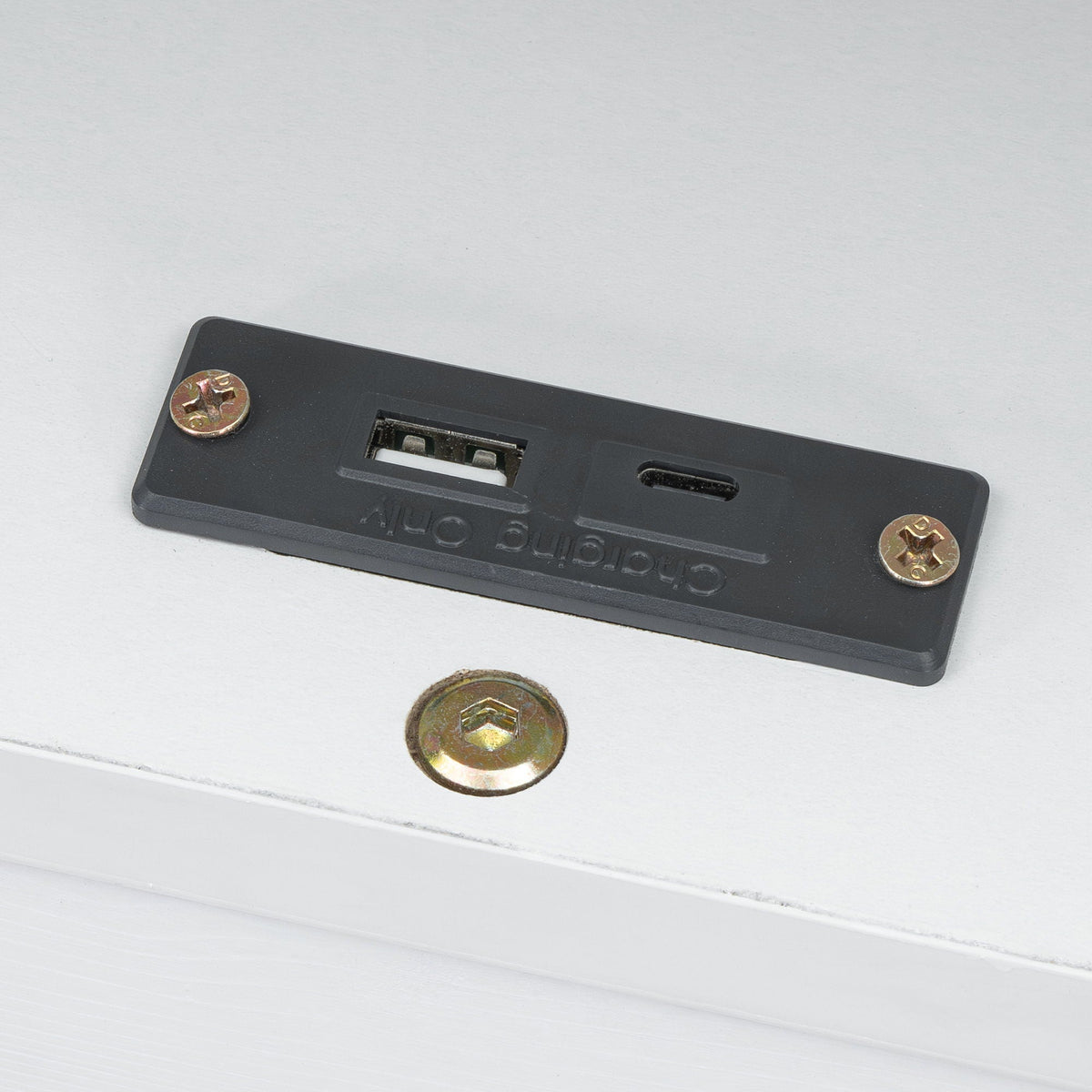 Black mounting plate with a rectangular slot and two brass screws on a white wooden surface on Tampa Home & Garden Store