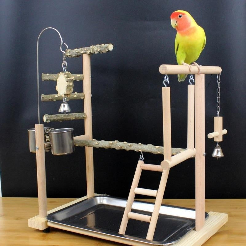 Wooden parrot stand with ladders, bells, cup feeder and perch on a metal tray base on Tampa Home & Garden Store