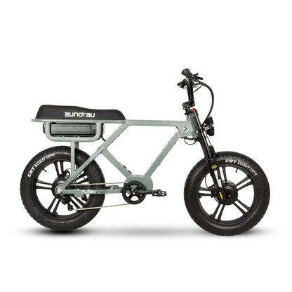 FLASH AWD 1.0 electric bicycle with green frame, black EUNORAU saddle, and front suspension on Tampa Home & Garden Store