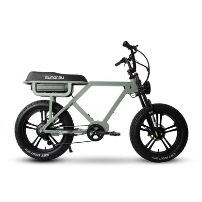 FLASH LITE 2.0 electric bicycle with grey frame and fat tires by EUNORAU E-BIKE US on Tampa Home & Garden Store