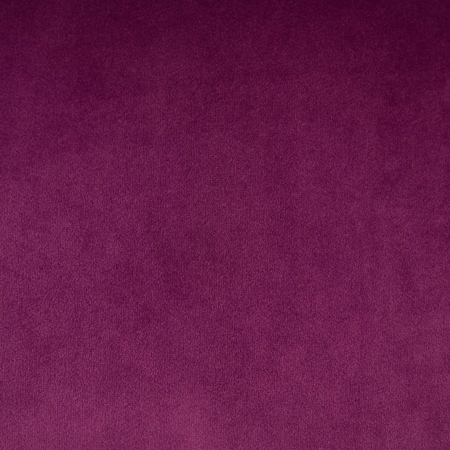 Office chair purple velvet upholstery close-up fabric texture on Tampa Home & Garden Store