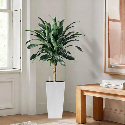Indoor outdoor planter with automatic watering system in a tall white textured pot on Tampa Home & Garden Store