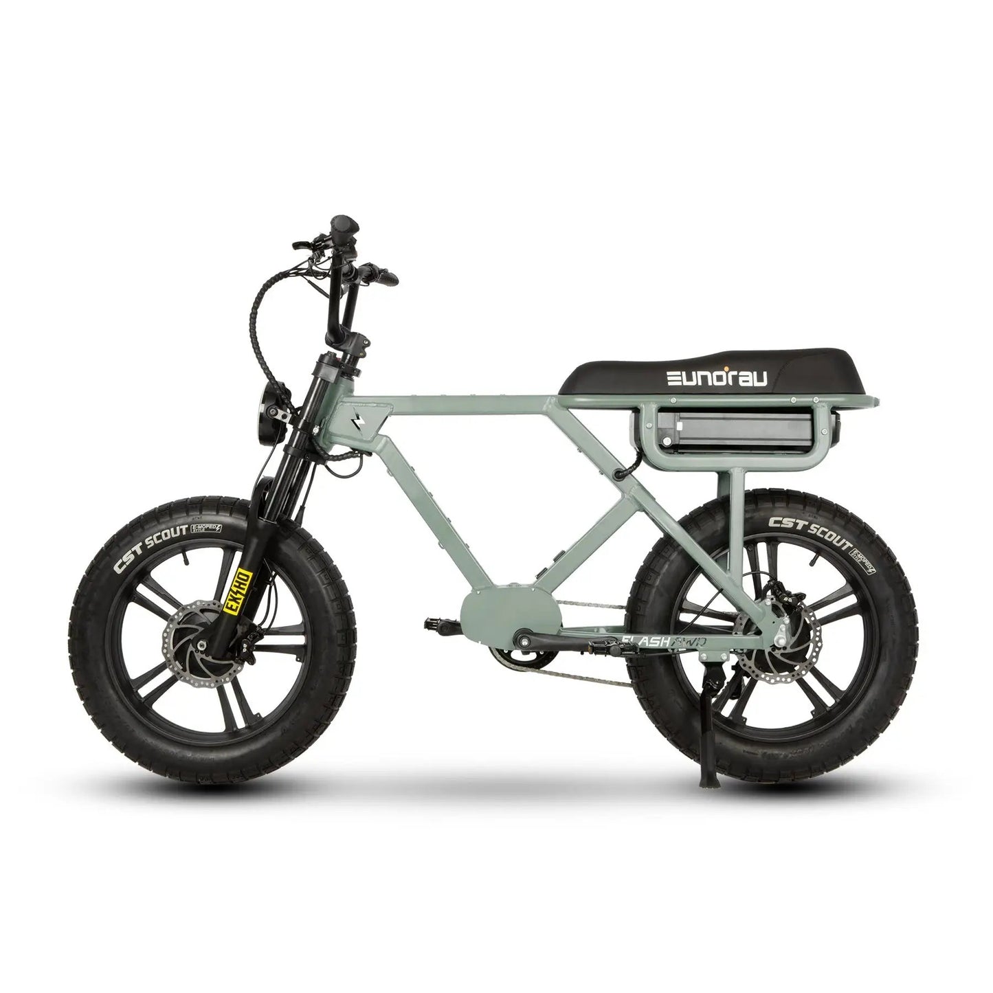 FLASH AWD 1.0 electric bicycle by EUNORAU green frame, black saddle with logo, front suspension, CST Scout tires on Tampa Home & Garden Store