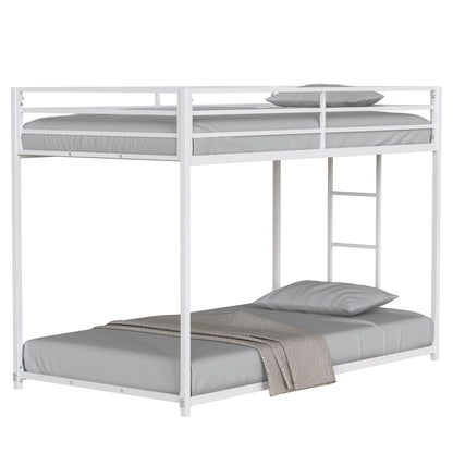 Adam - Metal Bunk Bed, white steel frame with two twin beds, ladder on right, HouseOfZazla on Tampa Home & Garden Store