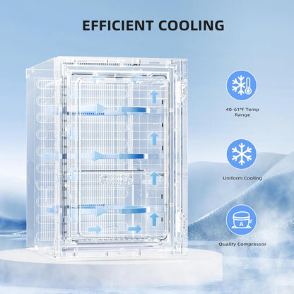 Mini refrigerador independiente para vinos de 0.6 pies cúbicos, con capacidad para 4 botellas de vino tinto y 6 latas de bebidas, compresor silencioso, luz LED y pantalla. 
