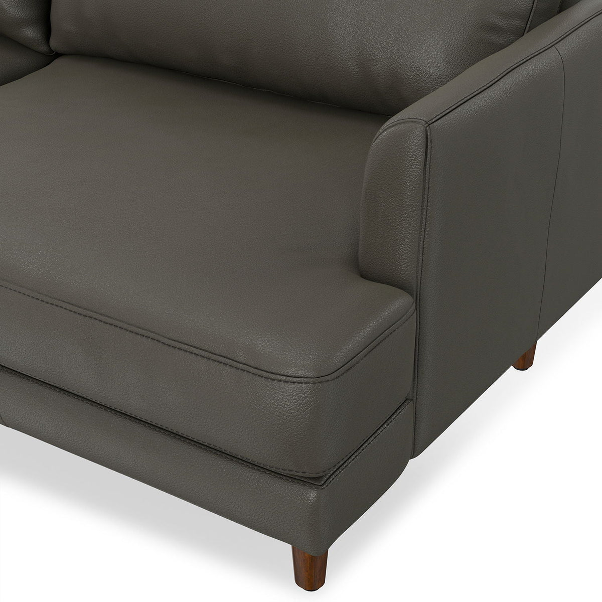 Livingston Upholstered Sofa with Cushions