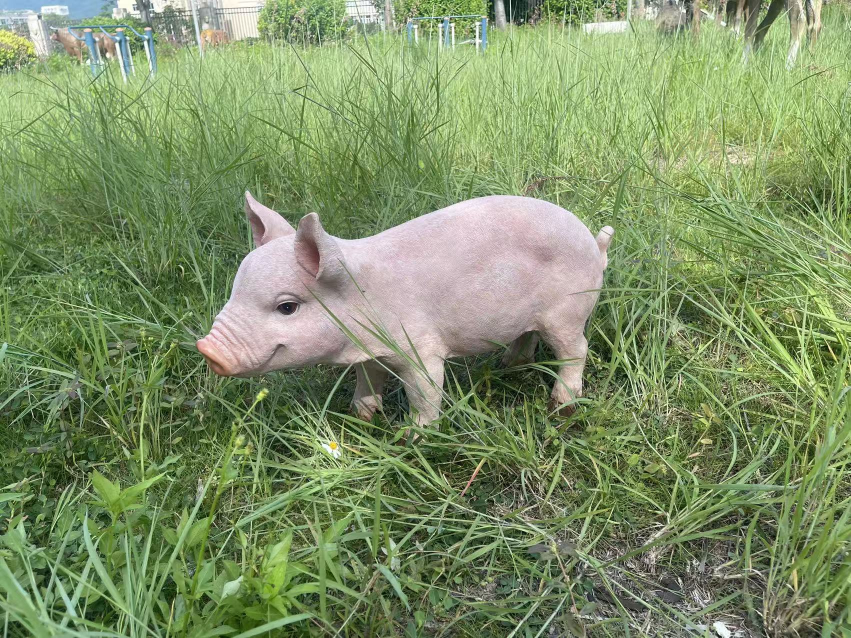 Cheerful beige pig garden statue by HouseOfZazla, outdoor garden sculpture in a grassy setting on Tampa Home & Garden Store