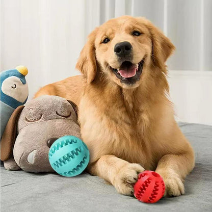 Dog toys set with two bite-resistant treat balls (blue) and plush toy by Sell My Stuff on Tampa Home & Garden Store