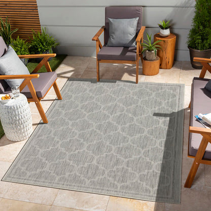 Silver Indoor and Outdoor Area Rug With Trellis