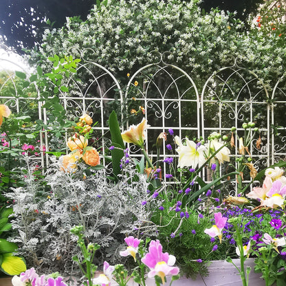 Metal Trellis For Climbing Plants And Vines