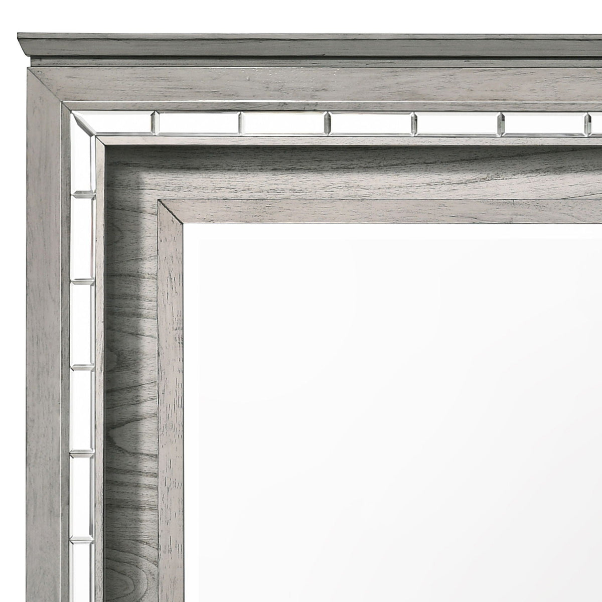 Light gray LED rectangular wall mirror by HouseOfZazla with chrome inset frame on Tampa Home & Garden Store