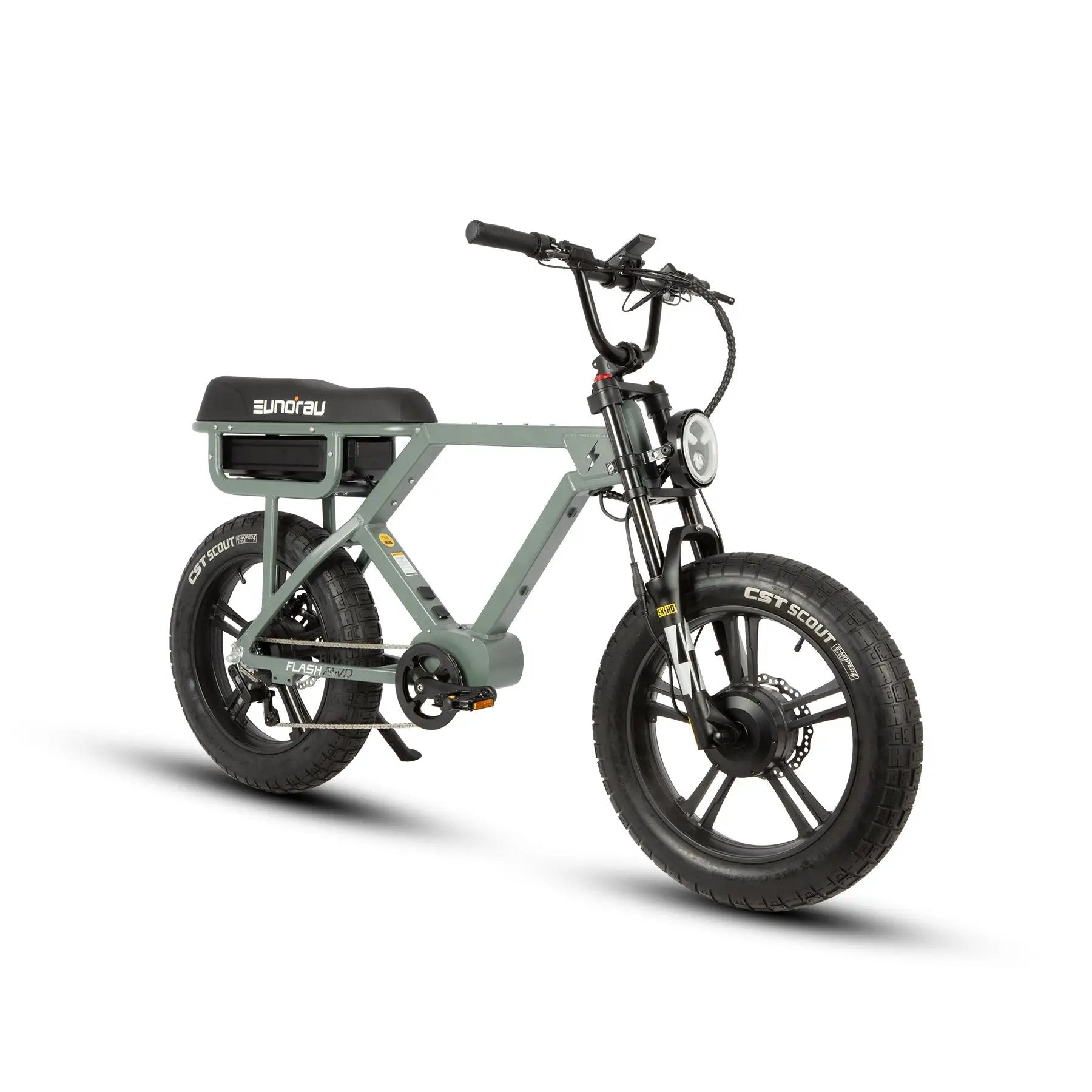 FLASH AWD 1.0 electric bicycle by EUNORAU E-BIKE US on a green cargo frame with fat tires on Tampa Home & Garden Store