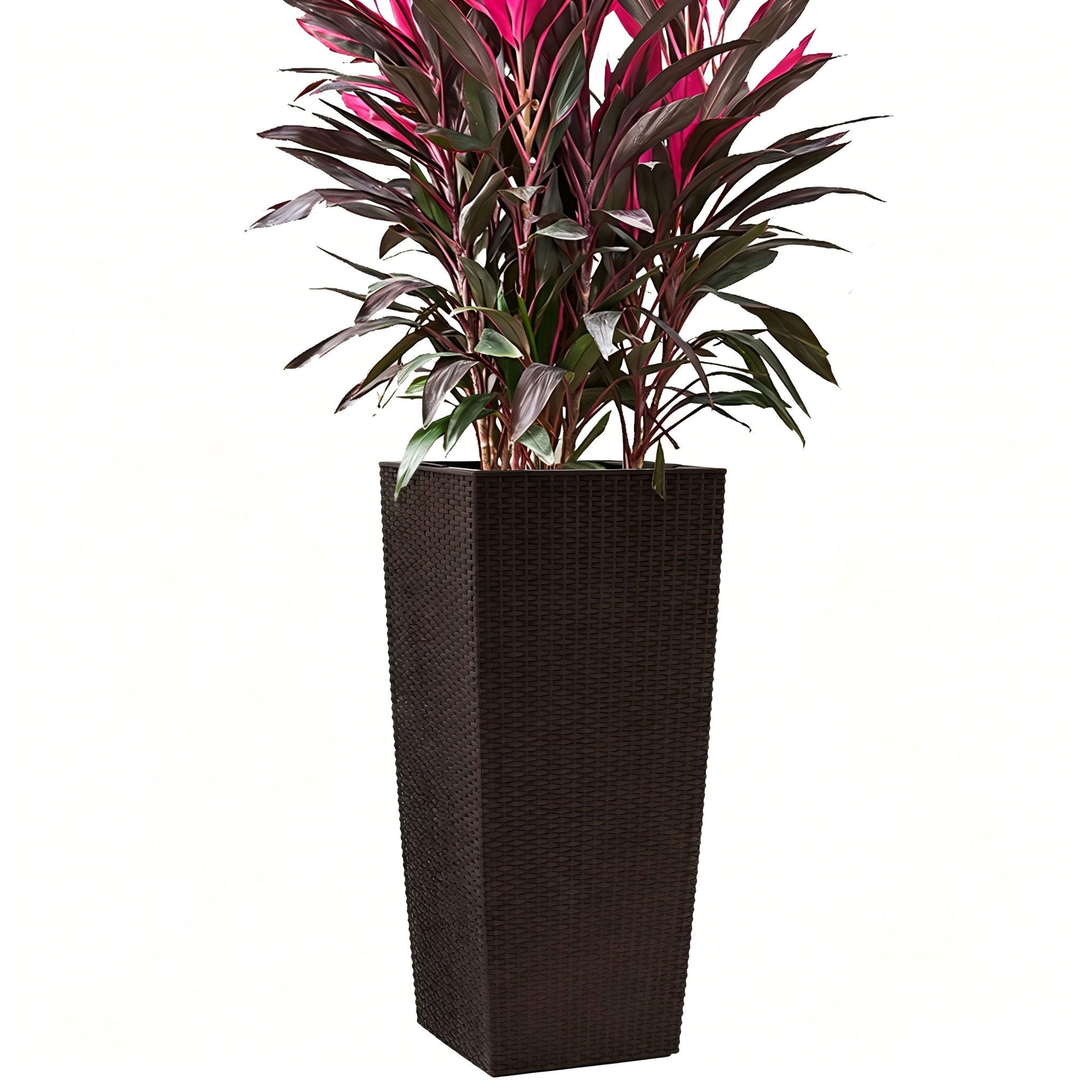 Indoor Outdoor Planter with Automatic Watering System by HouseOfZazla, brown woven planter on Tampa Home & Garden Store