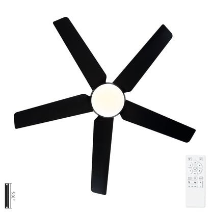 Ceiling fan with lights and remote, black blades, dimmable LED on Tampa Home & Garden Store