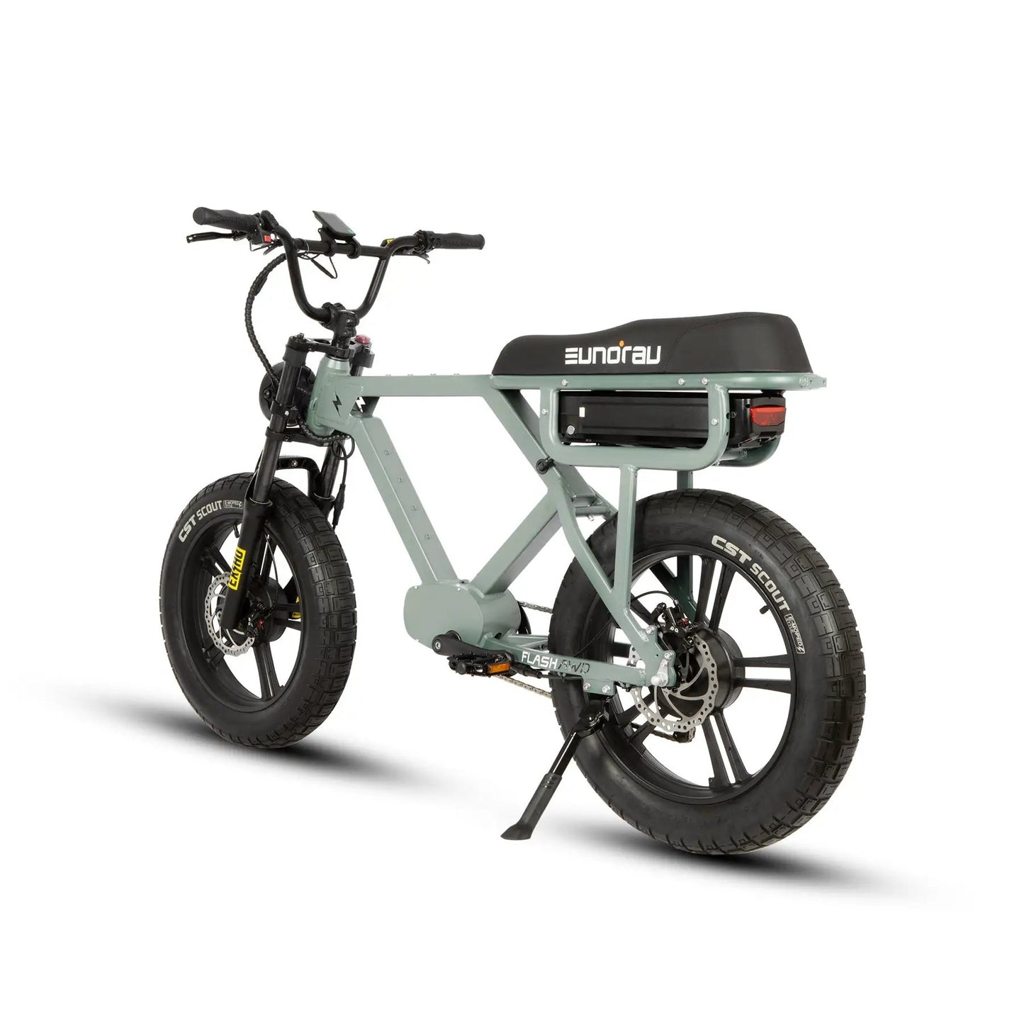 FLASH AWD 1.0 electric bicycle with green frame, fat tires, EUNORAU E-BIKE US on Tampa Home & Garden Store