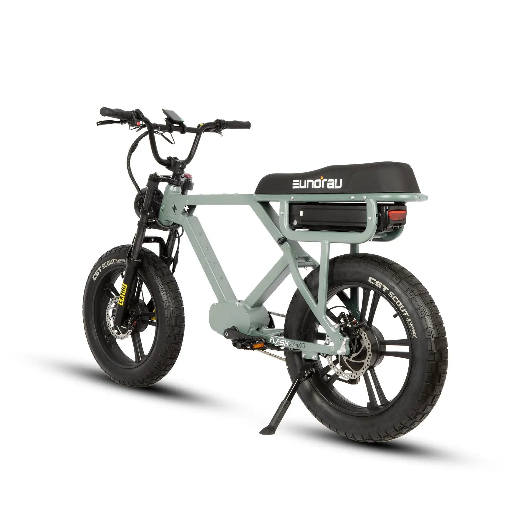 FLASH AWD 1.0 electric bicycle with green frame, fat tires, EUNORAU E-BIKE US on Tampa Home & Garden Store