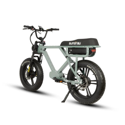 FLASH AWD 1.0 electric bicycle with green frame, fat tires, EUNORAU E-BIKE US on Tampa Home & Garden Store