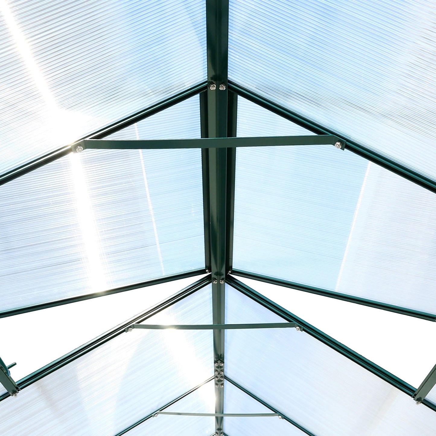 Heavy Duty Polycarbonate Greenhouse Kit and Door