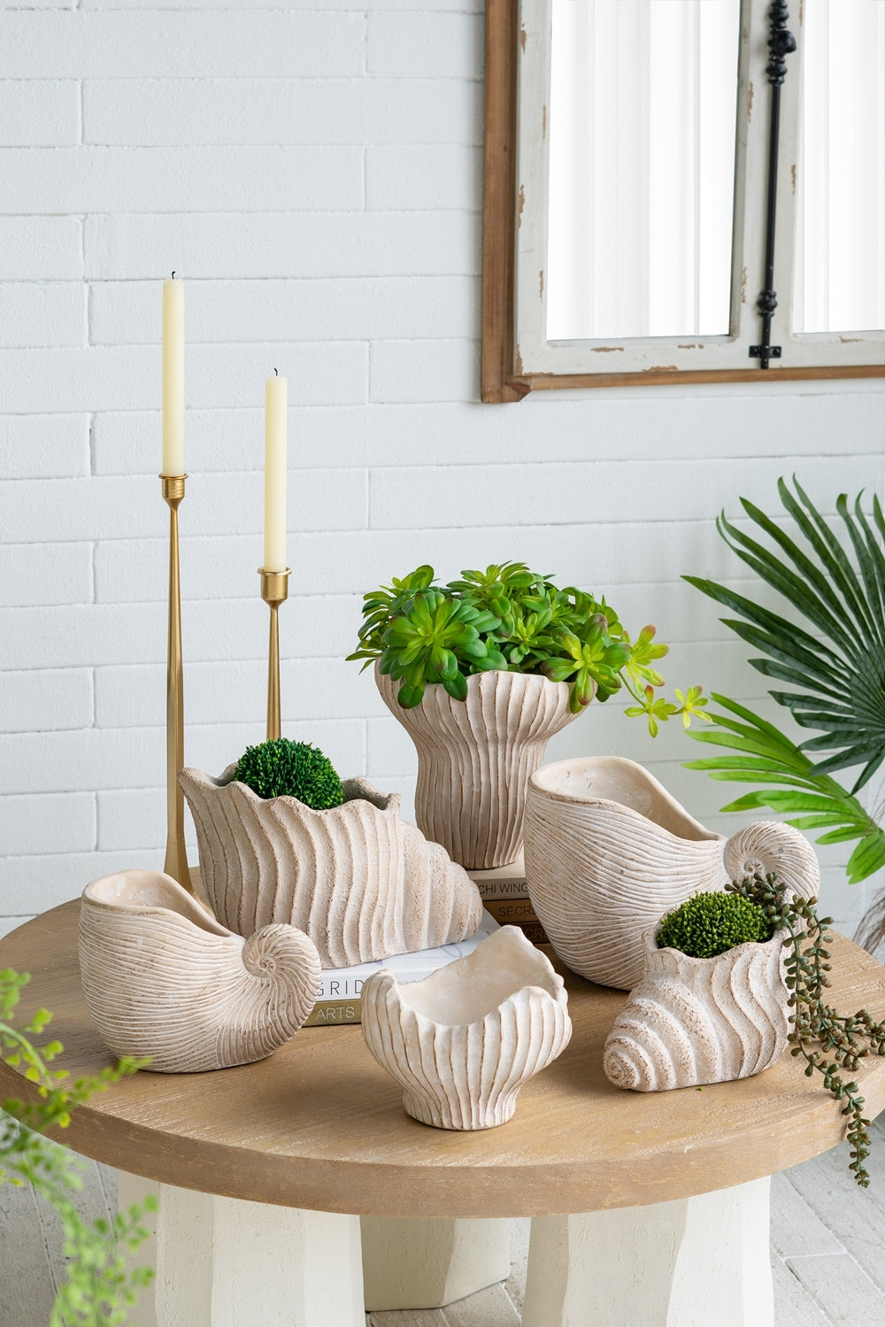 Nautilus shell planters set of five in sand and cement beige textured finish on Tampa Home & Garden Store