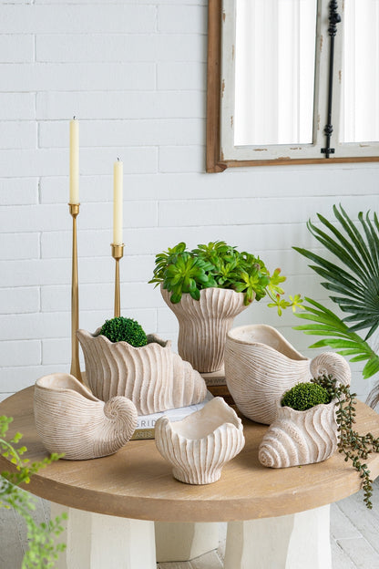 Nautilus shell planters set of five in sand and cement beige textured finish on Tampa Home & Garden Store