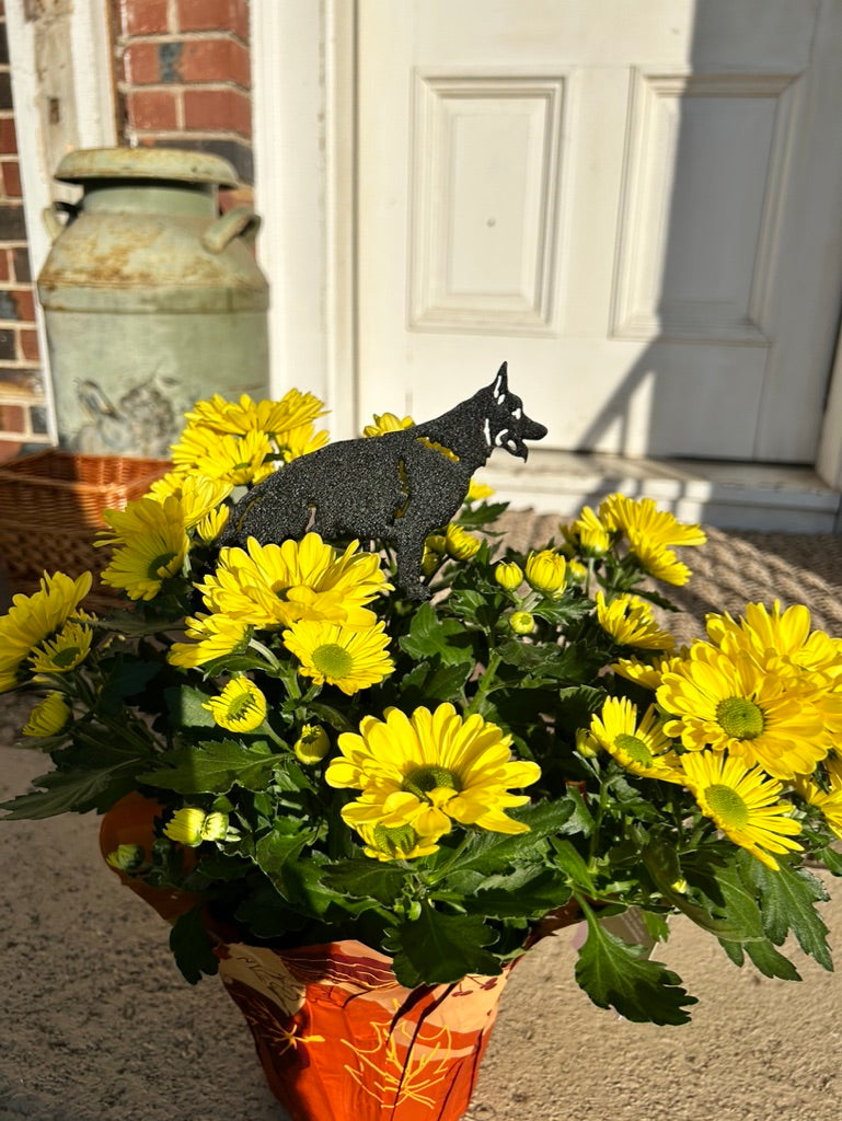 German Shepherd plant stake, black metal, Rustica Ornamentals, in yellow chrysanthemum pot on Tampa Home & Garden Store