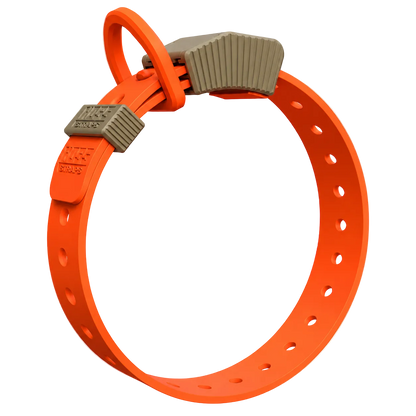 FIELD COLLAR Hoss Straps orange hunting dog collar with gray buckle on Tampa Home & Garden Store
