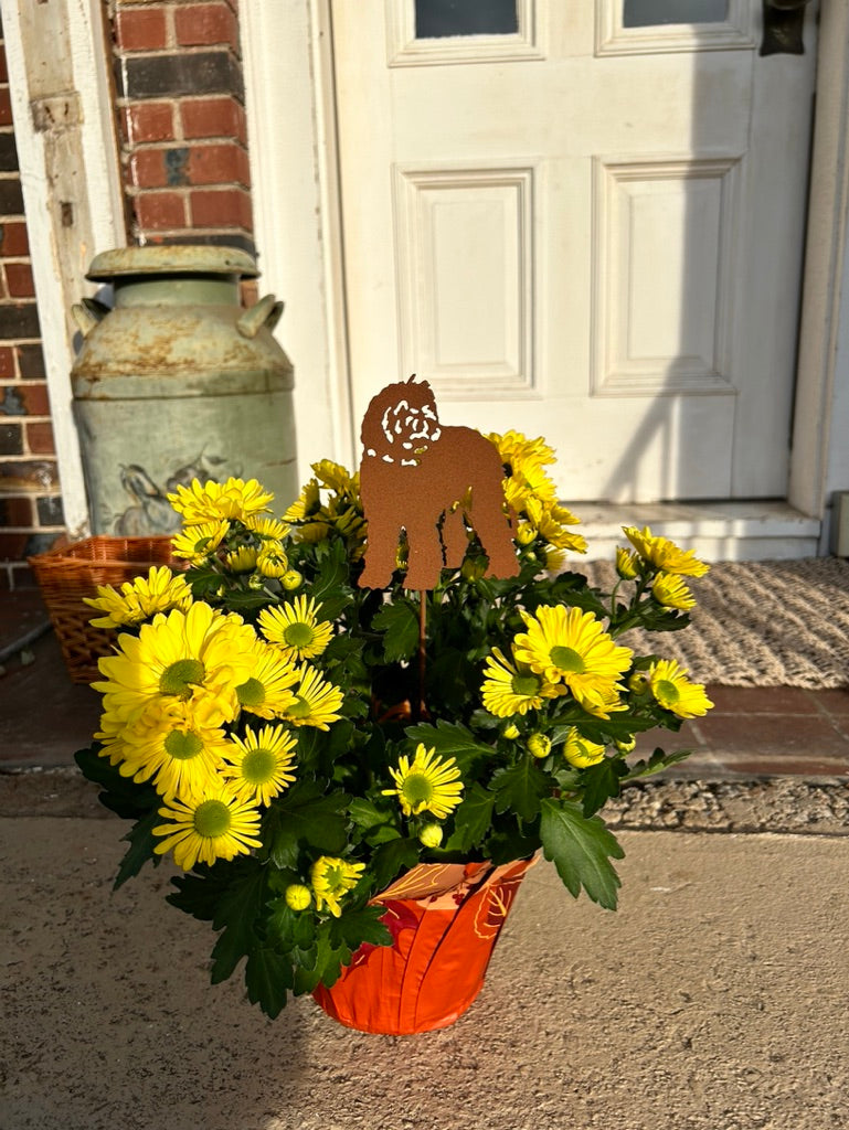 Labradoodle plant stake marker in rust color among yellow chrysanthemum blooms in pot on Tampa Home & Garden Store