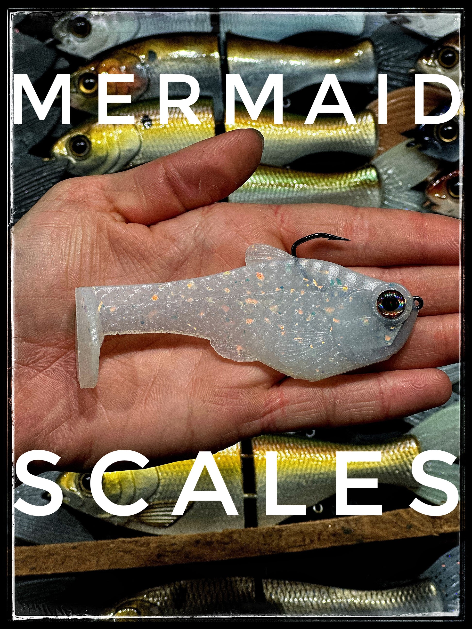 4.5in Nacho boot-tail soft swimbait by Bull Shad Swimbaits, glitter scale, in hand on Tampa Home & Garden Store