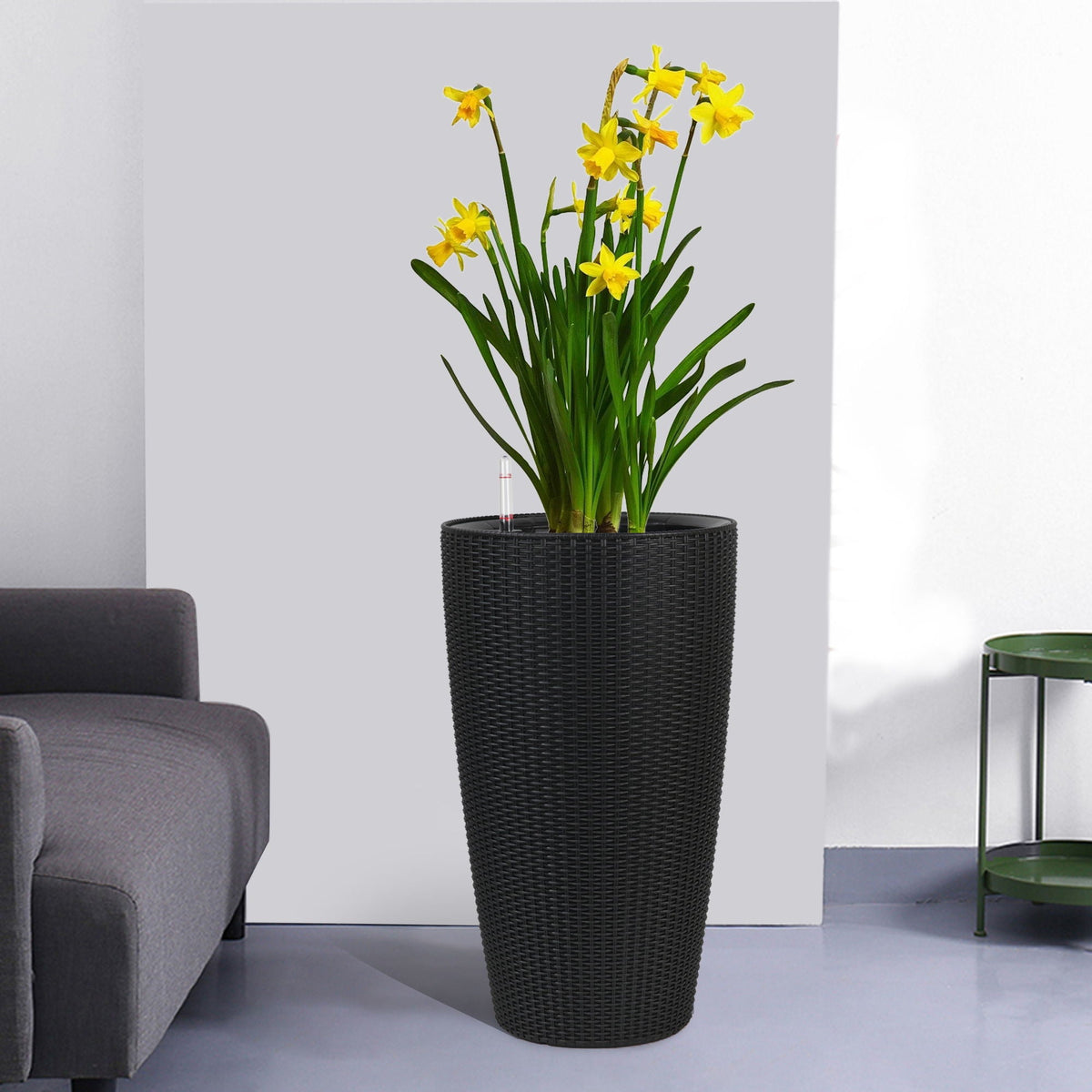Tall planters set with water level monitor in black wicker pot with yellow daffodils HouseOfZazla on Tampa Home & Garden Store
