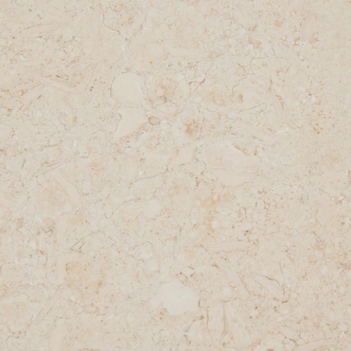 Beige marble tile texture with subtle veining on Tampa Home & Garden Store