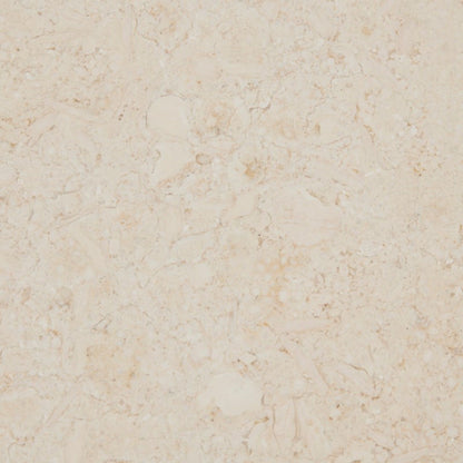 Beige marble tile texture with subtle veining on Tampa Home & Garden Store